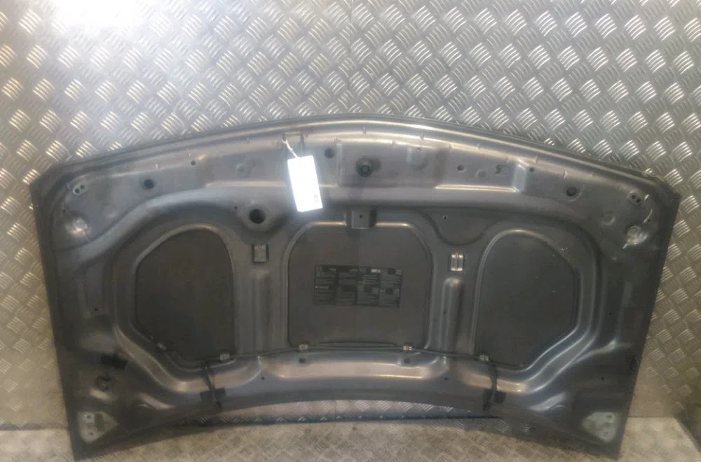 Capot Renault MEGANE II (BM0-1_, CM0-1_) 1.6 16v (bm0c, cm0c) (2002-2008) occasion
