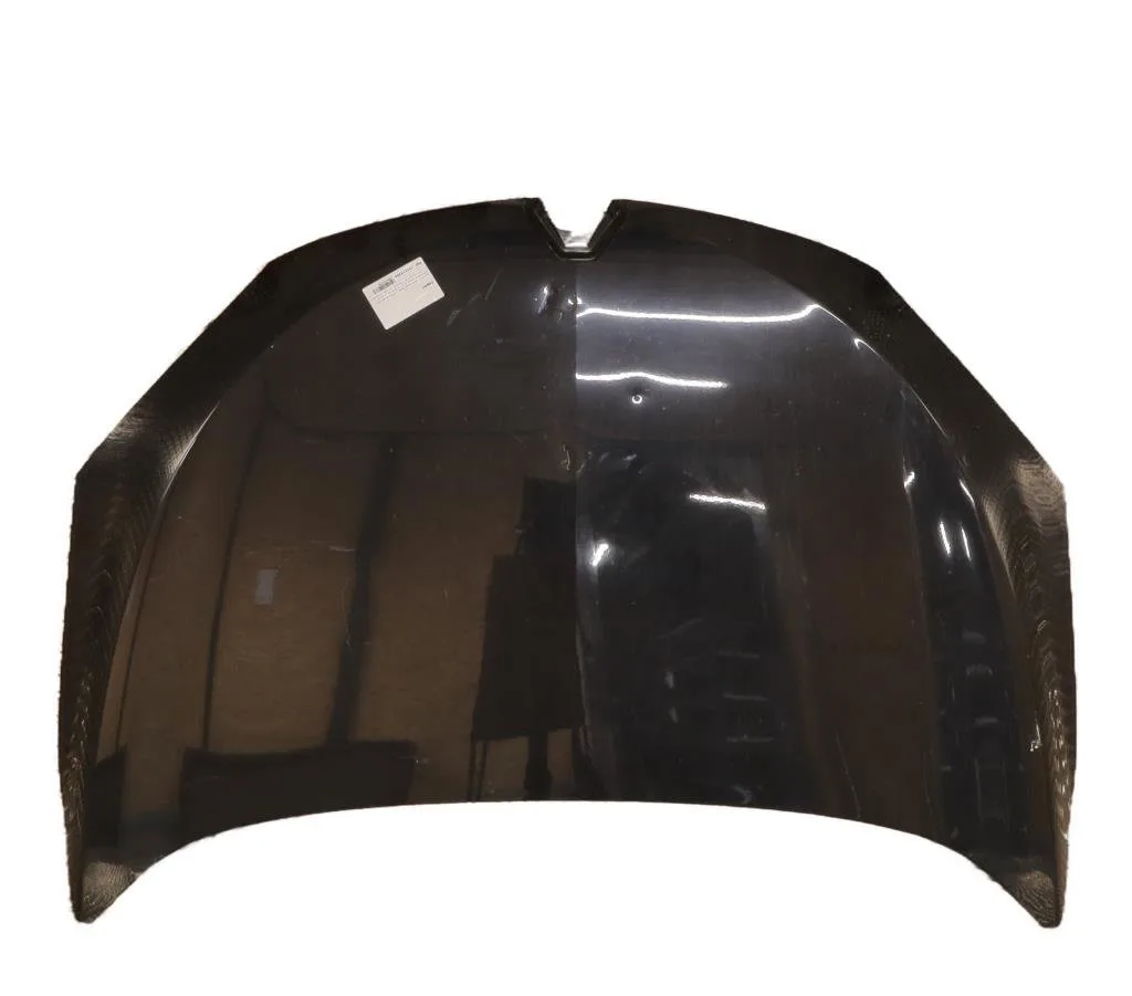 Capot Renault MEGANE III 3-5 portes (BZ0-1_, B3_) 1.4 tce (bz0f, bz1v) (2009) occasion
