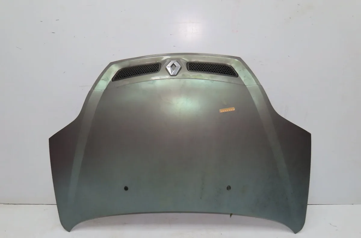Capot Renault MEGANE Scenic (JA0-1_) 1.6 16v (ja0b, ja04, ja11, ja00) (1998-1999) occasion