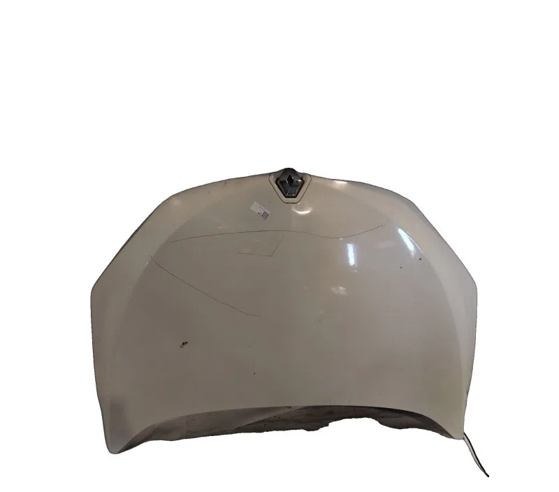 CAPOT RENAULT MEGANEIII 651009018R — photo 2