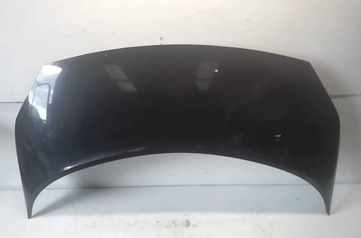 Capot Renault SCÉNIC II (JM0-1_) 1.5 dci (jm02, jm13) (2003-2005) occasion