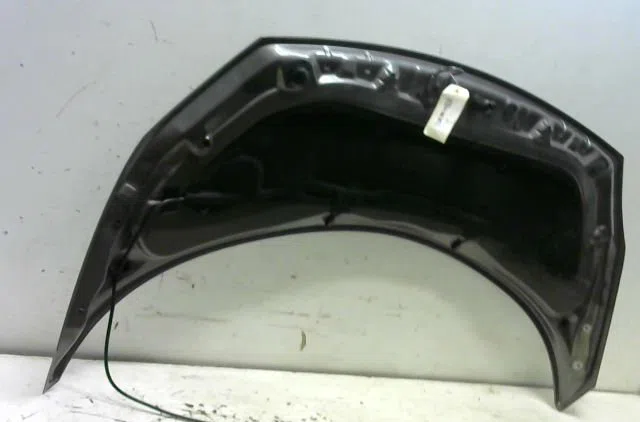 Capot Renault SCÉNIC II (JM0-1_) 1.9 dci (jm0g, jm12, jm1g, jm2c) (2003-2006) occasion