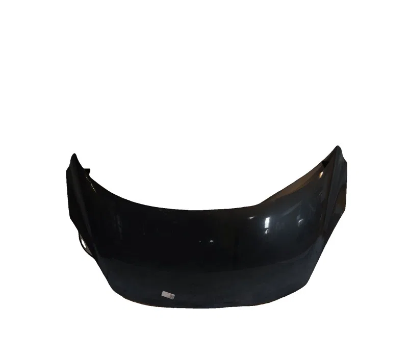 CAPOT RENAULT SCENIC III 651008842R — photo 2