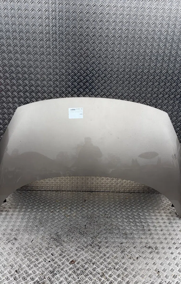 Capot Renault SCÉNIC III (JZ0-1_) 1.2 tce (jz16) (2013) occasion