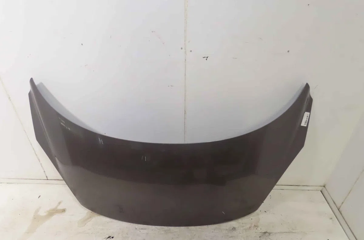 Capot RENAULT SCENIC III occasion