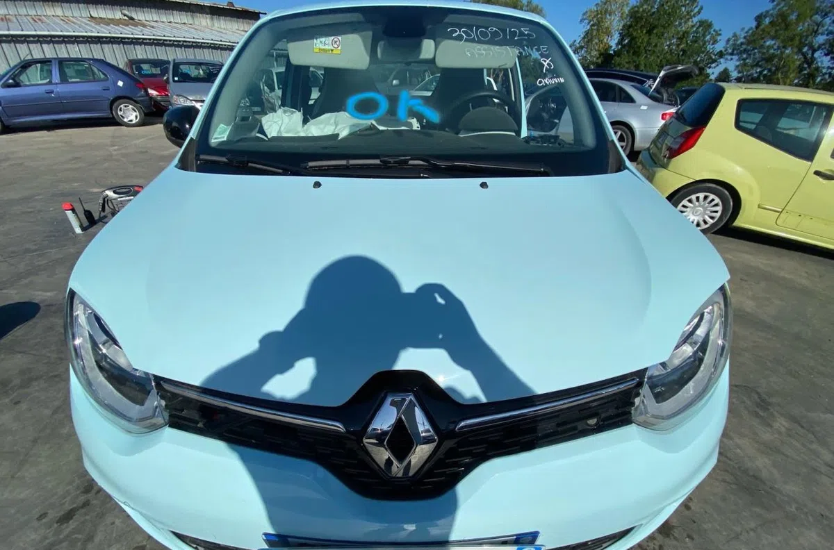 Capot RENAULT TWINGO 3 PHASE 2 occasion