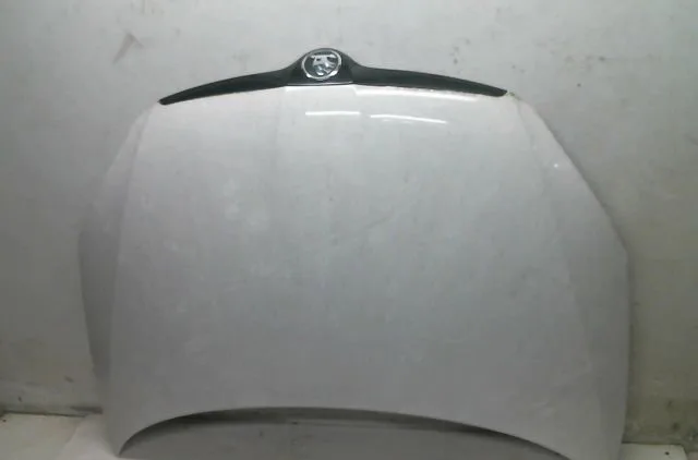 Capot Skoda FABIA II (542) 1.6 tdi (2010-2014) occasion