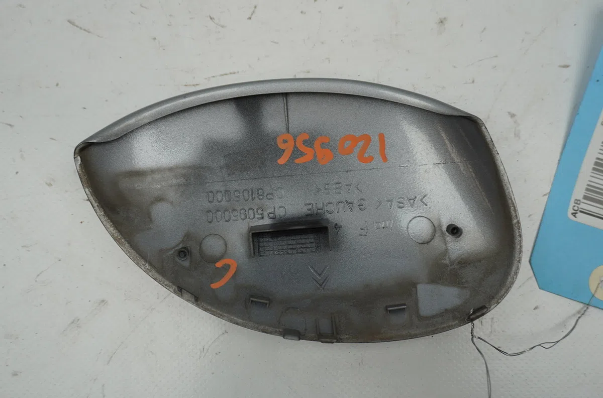 Carenage retroviseur ext g Peugeot 206 3-5 portes (2A-C) 1.4 i (1998-2012) 3 portes occasion