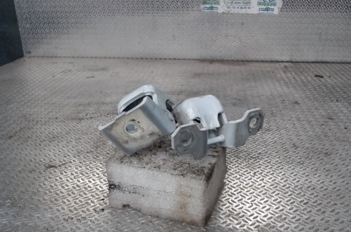 Charniere inf porte battante arg RENAULT CLIO 4 CLIO 4 PHASE 1 occasion