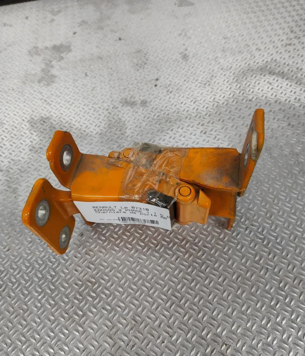 Charniere inf porte battante arg Renault KANGOO - GRAND KANGOO II (KW0-1_) 1.5 dci (2008) occasion