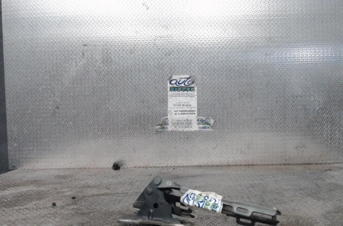Compas g capot CITROEN C5 2 C5 2 BREAK occasion — photo 2