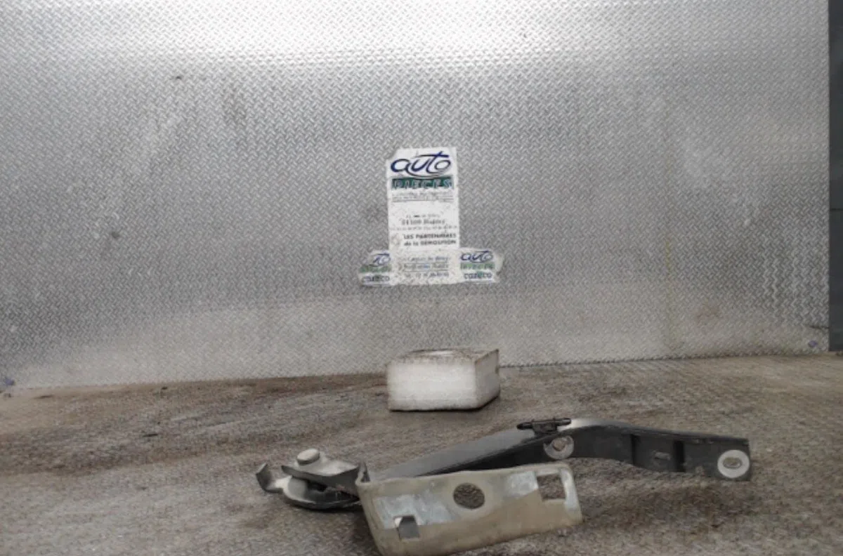 Compas g capot PEUGEOT 308 1 SW  308 1 SW PHASE 1 BREAK occasion — photo 2