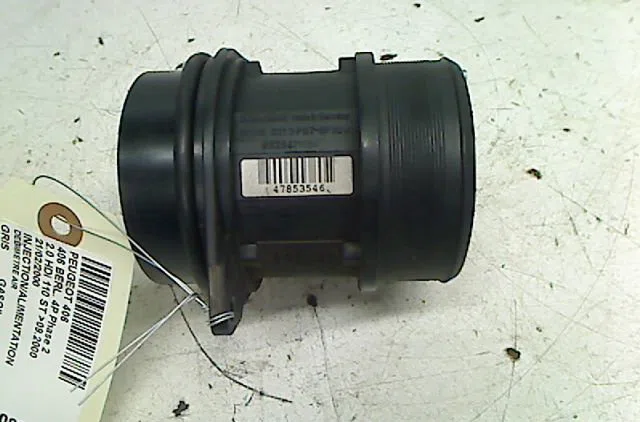 Debimetre air PEUGEOT 406 occasion