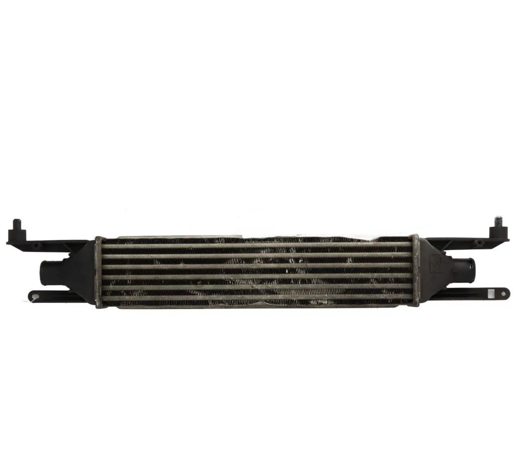 Echangeur air Fiat PUNTO EVO (199_) 1.3 d multijet (199axc1a, 199bxc1a, 199axt1a, 199bxt1a) (2009-2012) 3 portes occasio