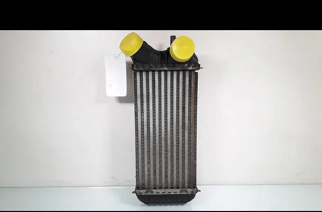 Echangeur air Ford C-MAX II (DXA-CB7, DXA-CEU) 1.6 tdci (2010-2019) occasion