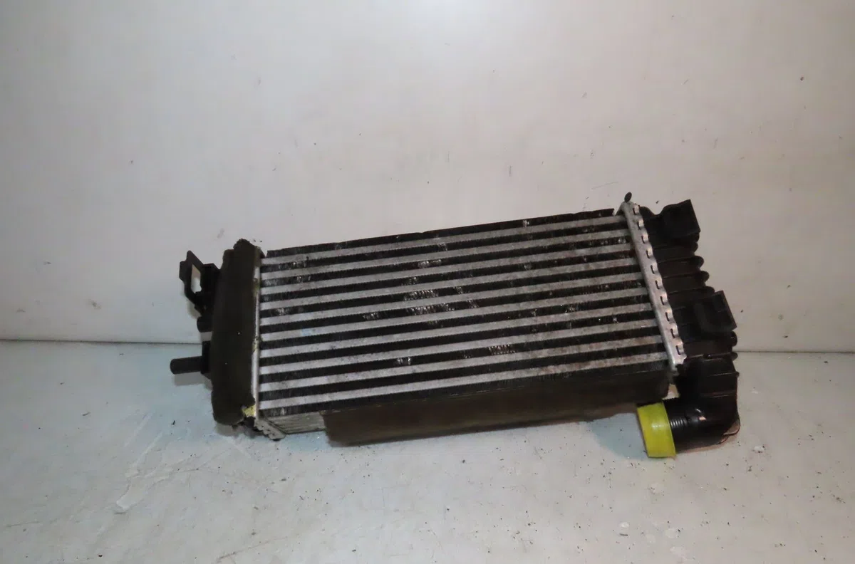 Echangeur air Ford GRAND C-MAX (DXA-CB7, DXA-CEU) 1.5 tdci (2015-2019) occasion