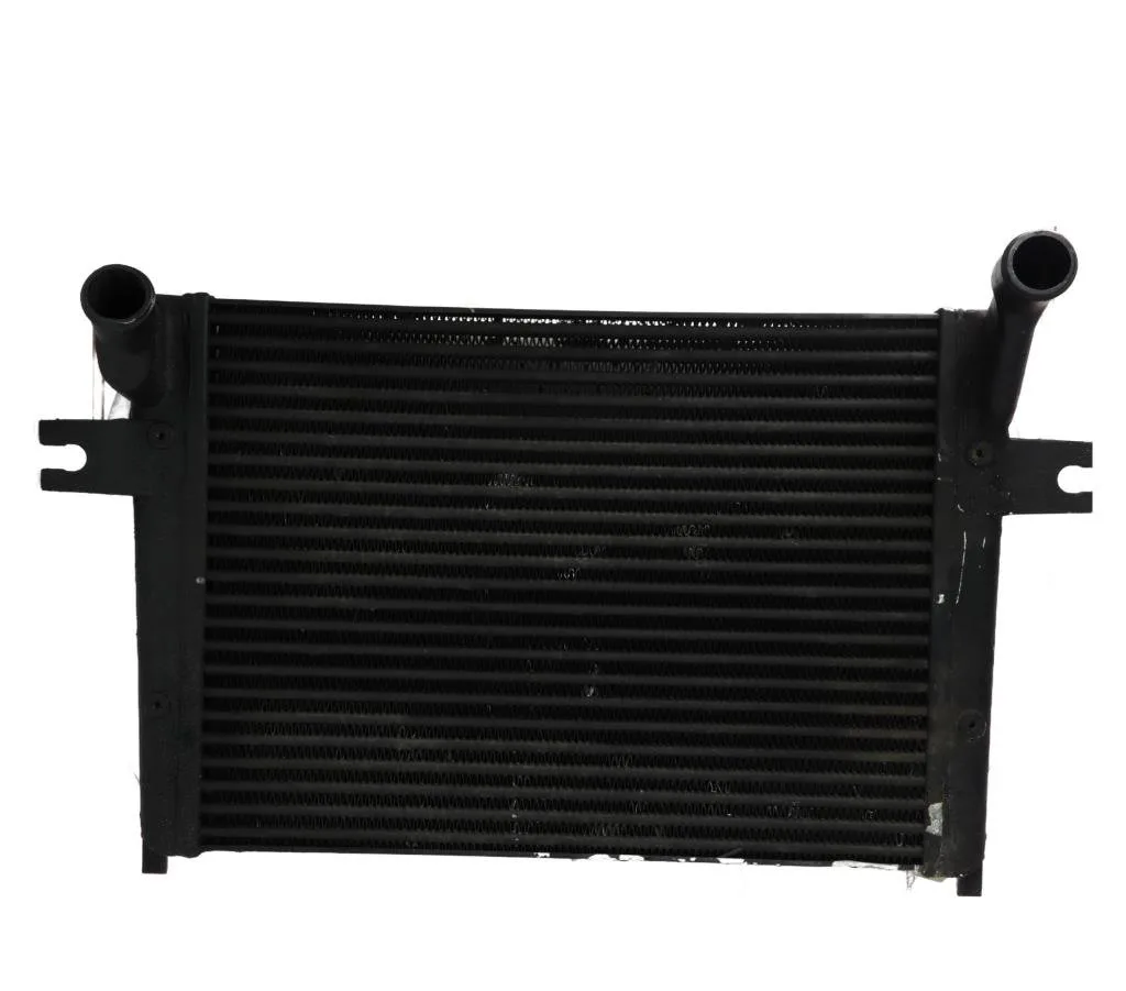 Echangeur air Jeep GRAND CHEROKEE II (WJ, WG) 3.1 td 4x4 (1999-2001) occasion