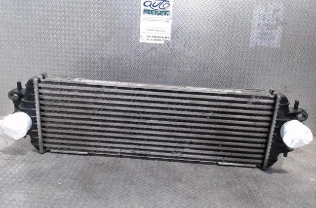 Echangeur air Nissan PRIMASTAR Camionnette (X83) 1.9 dci 100 (2002) occasion