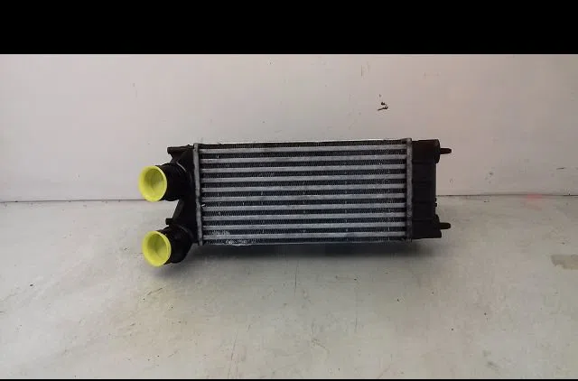 Echangeur air Peugeot 3008 Monospace (0U_) 1.6 hdi (2009-2016) 5 portes occasion