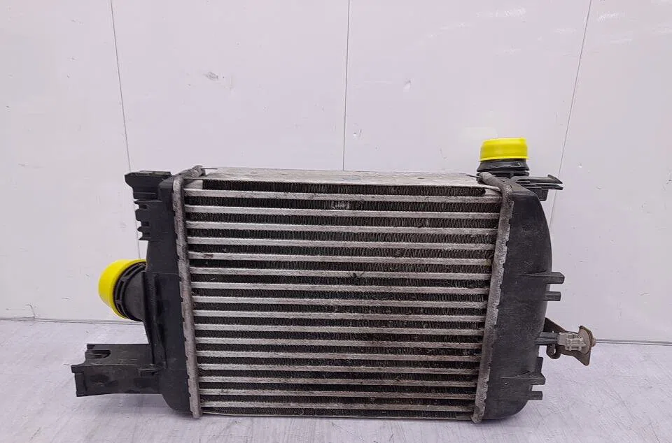 Echangeur air RENAULT CLIO 4 PHASE 1 occasion