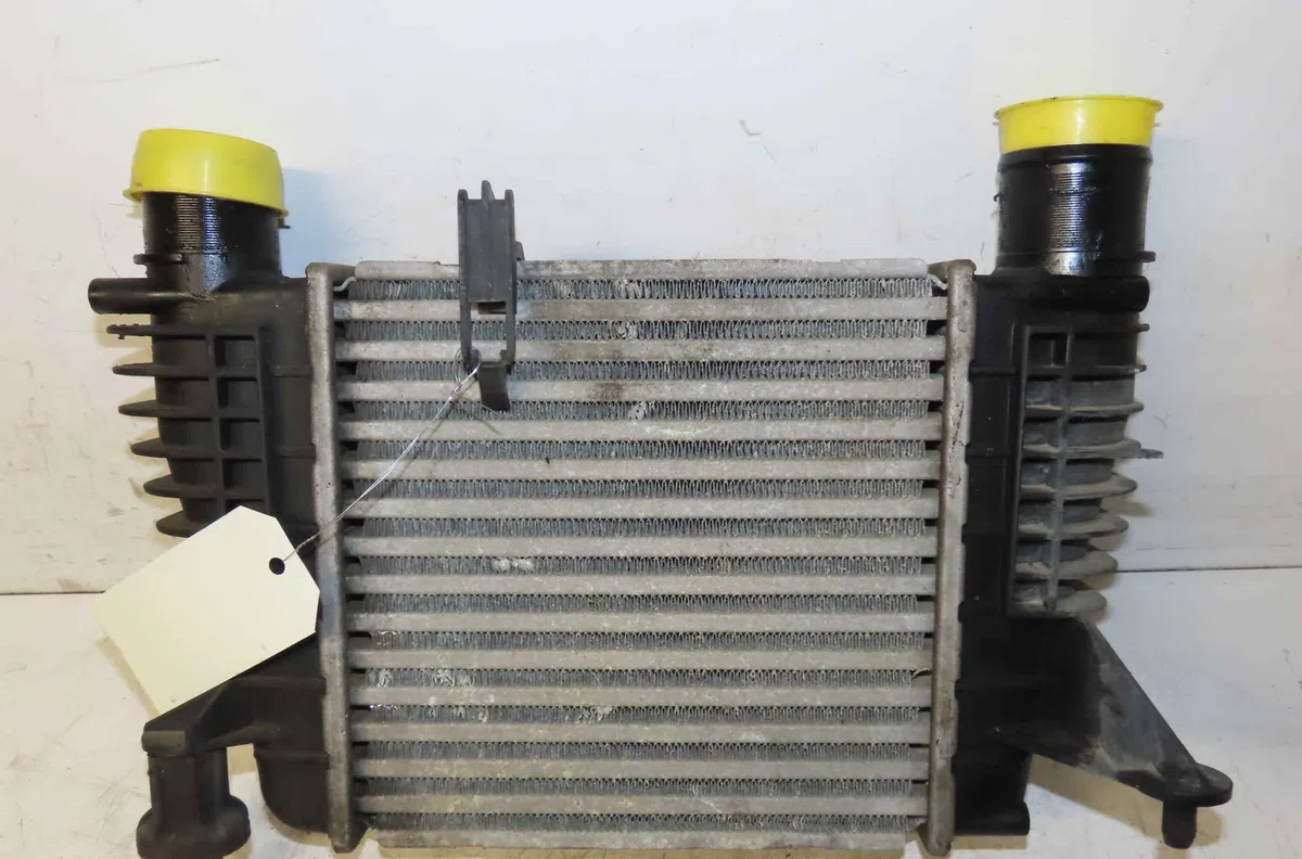 Echangeur air RENAULT CLIO III occasion