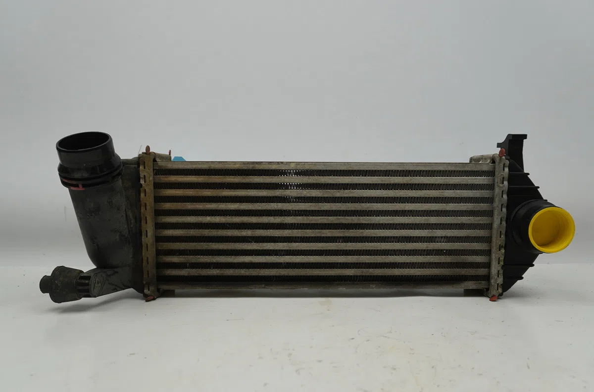 Echangeur air Renault KANGOO Express (FW0-1_) 1.5 dci 90 (fw0g, fw05, fw08, fw11) (2009) 4 portes occasion