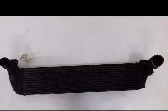 Echangeur air Renault LAGUNA II (BG0-1_) 1.9 dci (bg1a, bg1w, bg0g) (2005-2007) occasion