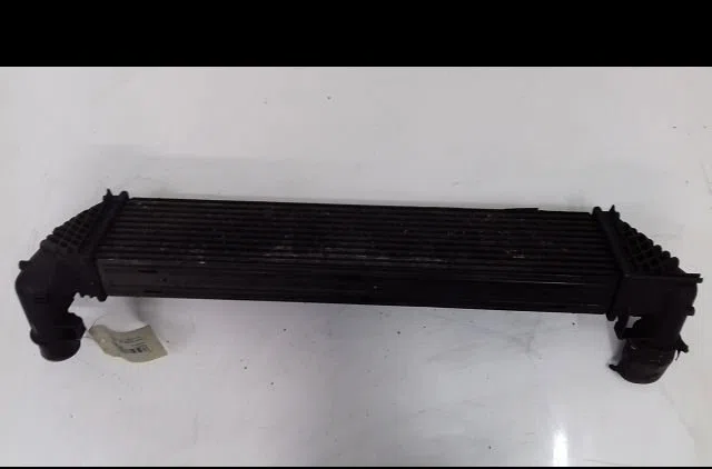 Echangeur air Renault LAGUNA II (BG0-1_) 1.9 dci (bg1a, bg1w, bg0g) (2005-2007) occasion