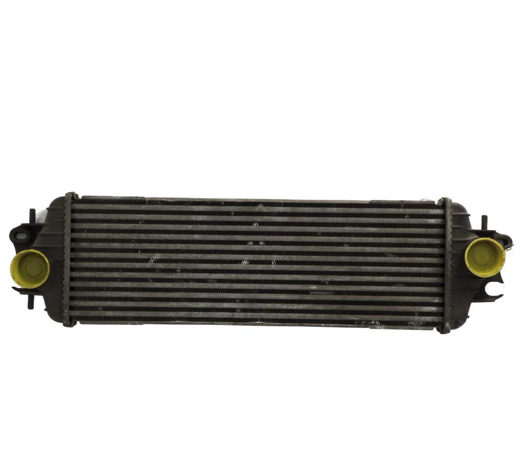 Echangeur air Renault TRAFIC II Autobus-Autocar (JL) 1.9 dci 100 (jl0c) (2001-2006) occasion