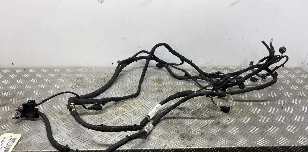 Faisceau moteur FORD FOCUS 4 PHASE 1 occasion
