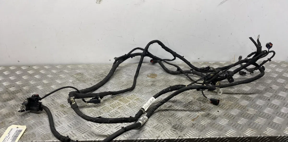 Faisceau moteur FORD FOCUS 4 PHASE 1 occasion