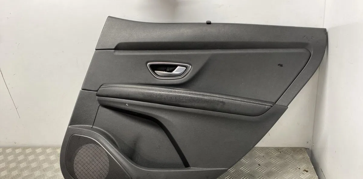 Garniture porte ard RENAULT SCENIC 4 occasion