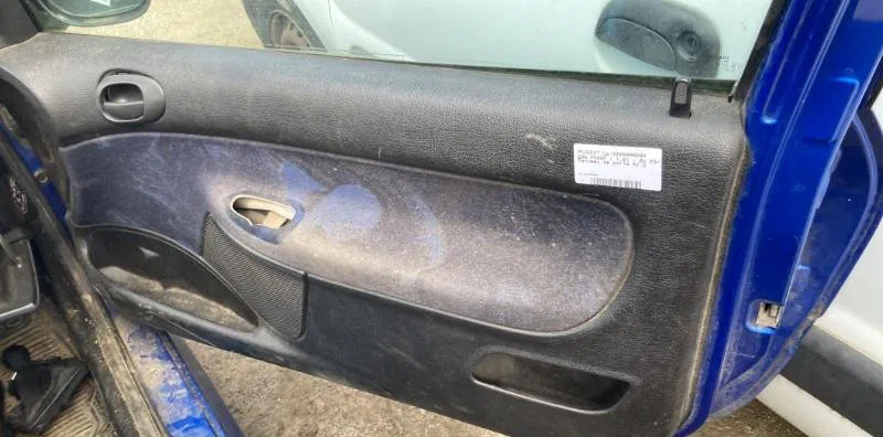 Garniture porte avd PEUGEOT 206 PHASE 1 occasion