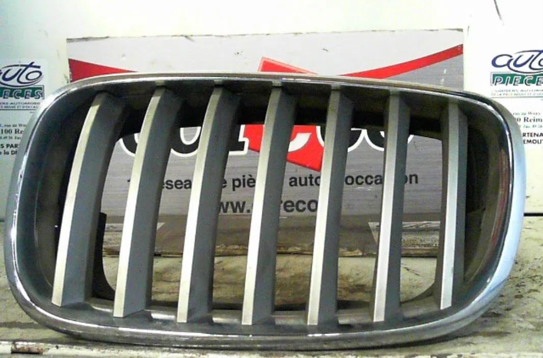 Grille calandre g BMW X5 E70 PHASE 1 occasion