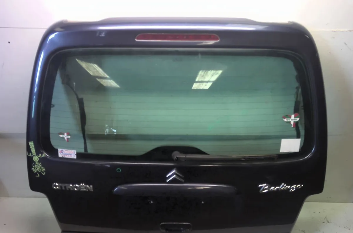 Hayon Citroen BERLINGO - BERLINGO FIRST Monospace (MF_, GJK_, GFK_) 1.6 hdi 90 (mf9hx) (2005-2008) occasion