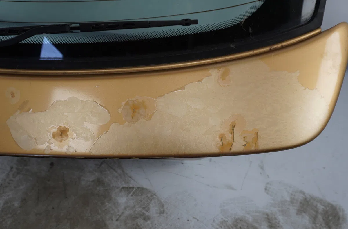 Hayon CITROEN XSARA  1.6i 110ch occasion