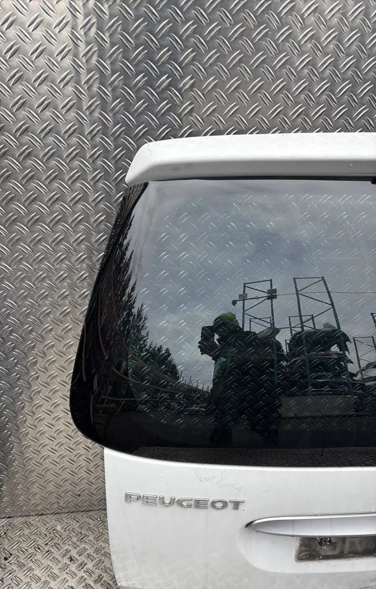 Hayon Peugeot 307 Break (3E) 1.6 hdi (2005-2008) 5 portes occasion