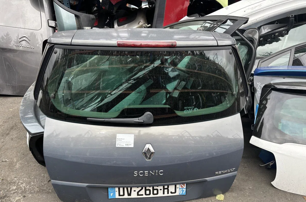Hayon Renault GRAND SCÉNIC II (JM0-1_) 2.0 dci (jm1k) (2005-2008) occasion