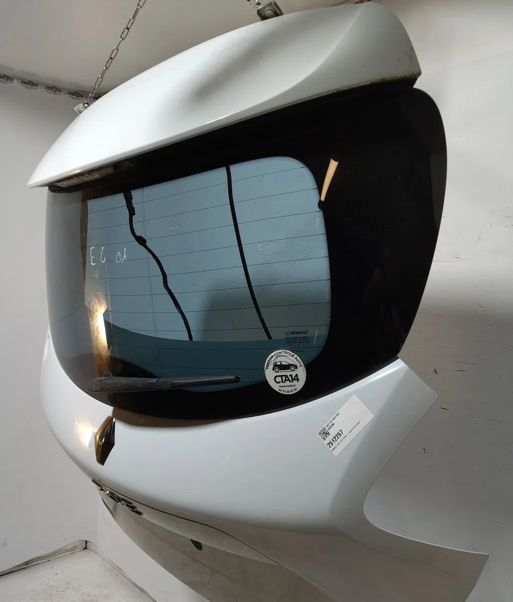 Hayon RENAULT ZOE occasion