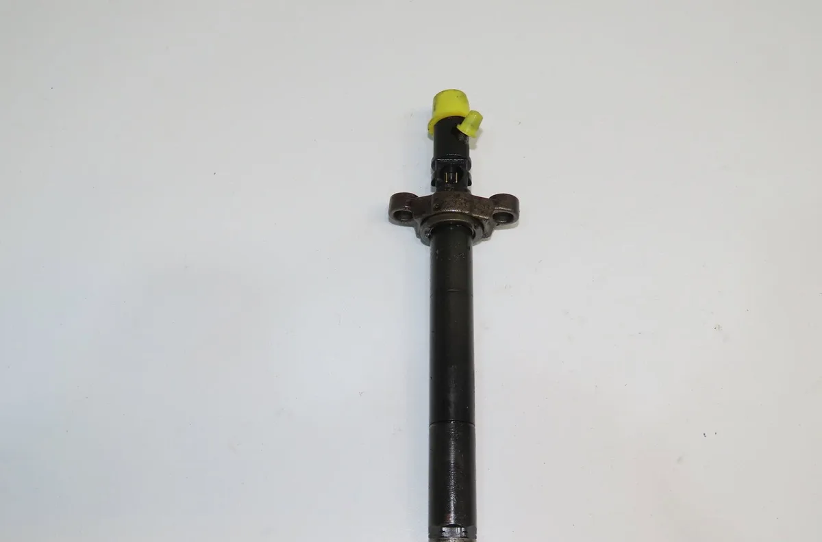 Injecteur Peugeot 407 SW (6E_) 2.0 hdi (2008-2010) occasion