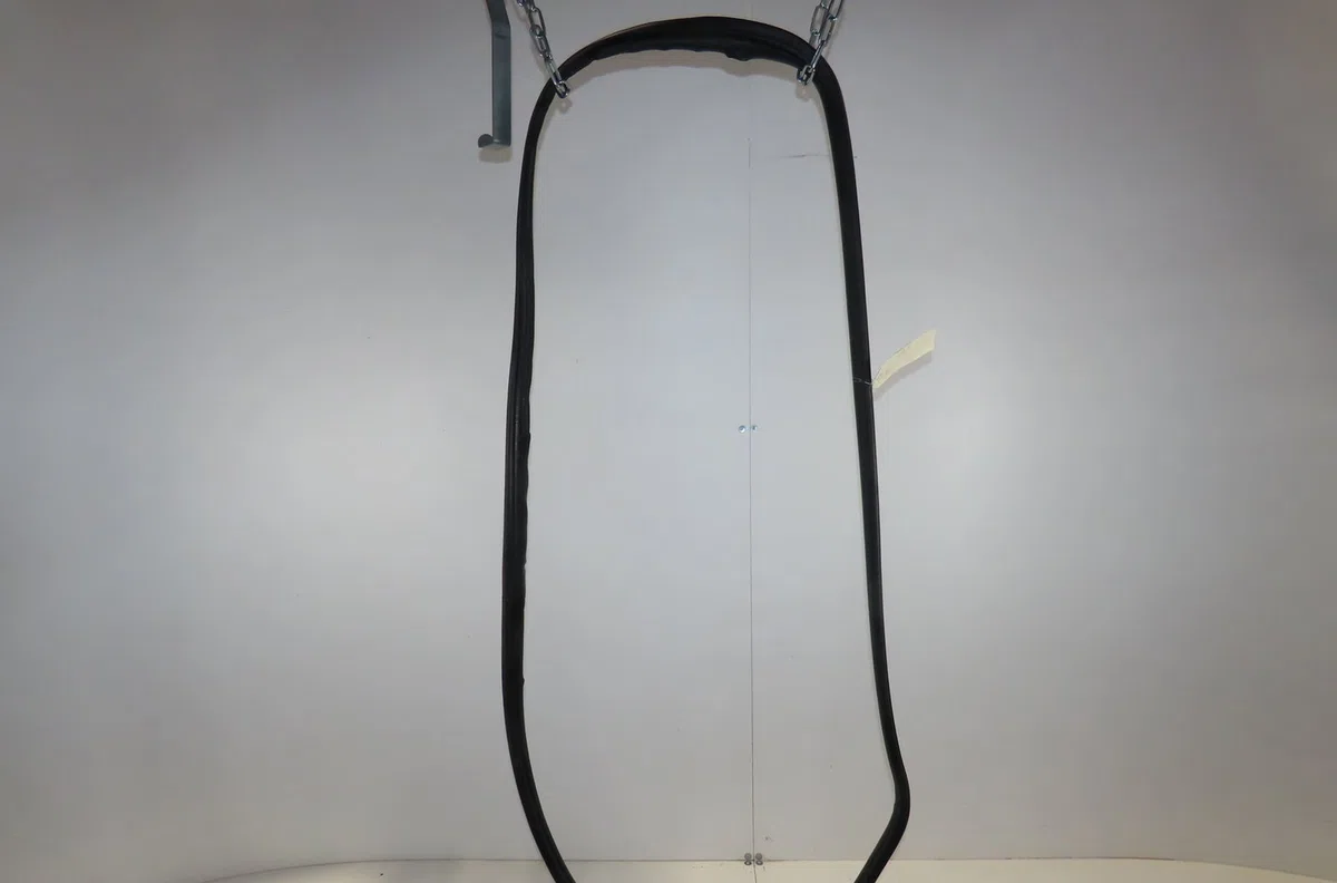 Joint porte avg Renault GRAND SCÉNIC II (JM0-1_) 1.9 dci (jm14) (2004-2008) occasion