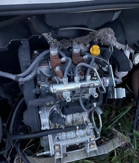 Moteur complet MICROCAR M8 QUADRICYCLE LEGER occasion
