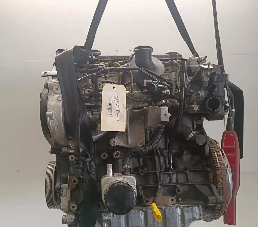 Moteur complet Peugeot 307 (3A-C) 2.0 hdi 90 (2000-2007) 5 portes occasion