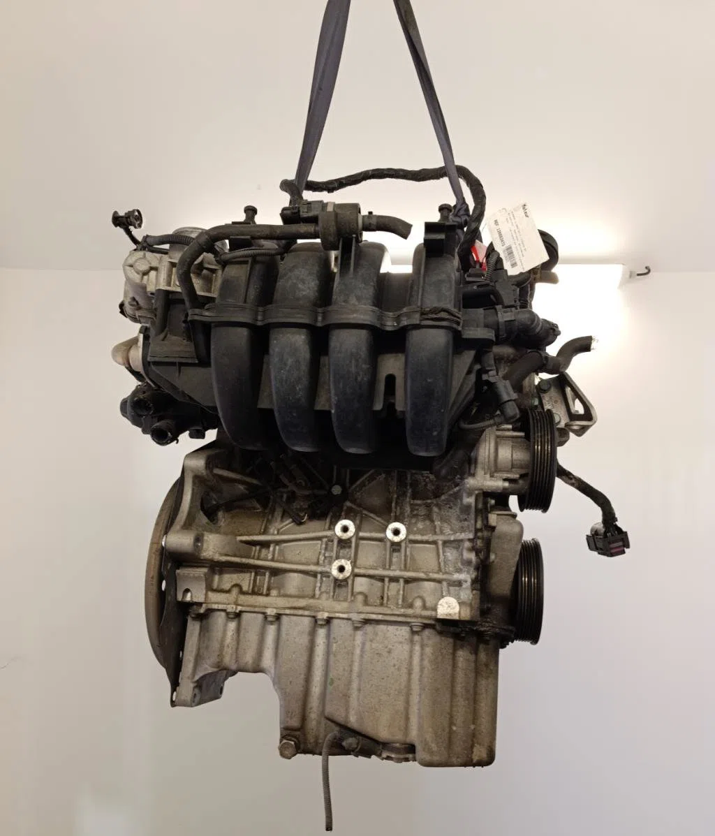 Moteur complet Volkswagen GOLF V (1K1) 1.9 tdi (2003-2008) 5 portes occasion