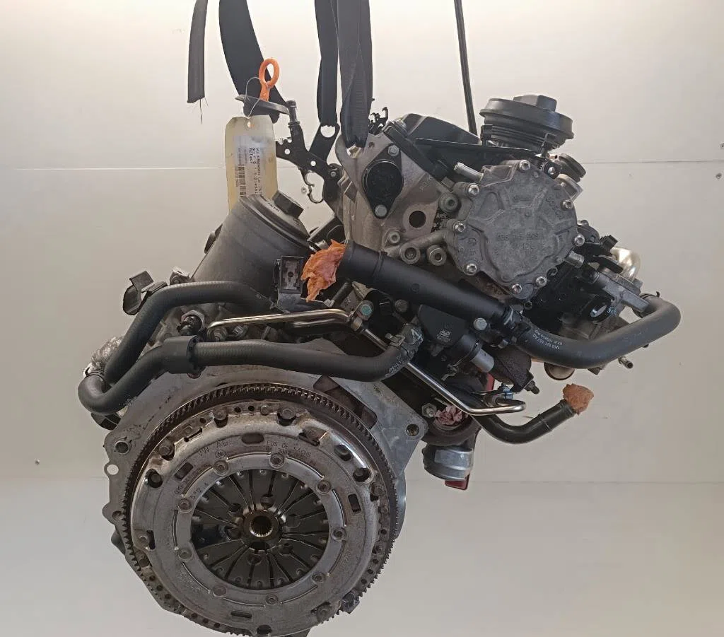 Moteur complet Volkswagen GOLF V (1K1) 1.9 tdi (2003-2008) 5 portes occasion