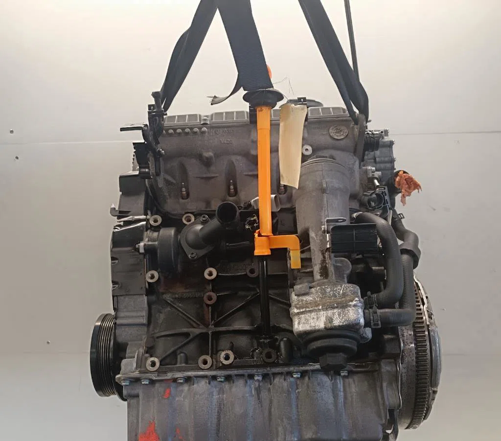 Moteur complet Volkswagen GOLF V (1K1) 1.9 tdi (2003-2008) 5 portes occasion