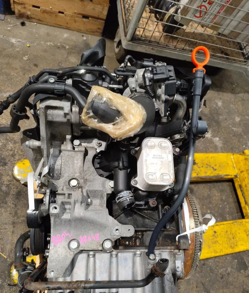 Moteur complet Volkswagen POLO V (6R1, 6C1) 1.2 tdi (2009) 5 portes occasion