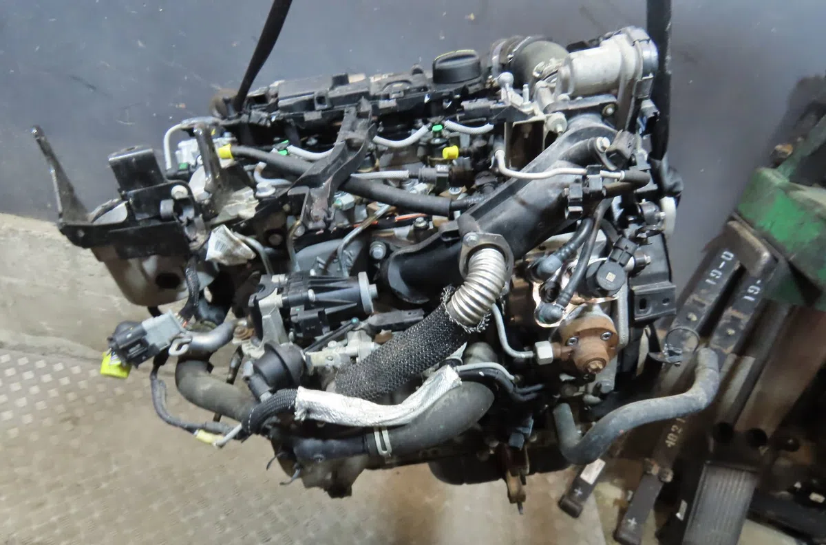 Moteur diesel Ford FIESTA VI (CB1, CCN) 1.4 tdci (2010-2012) 3 portes occasion