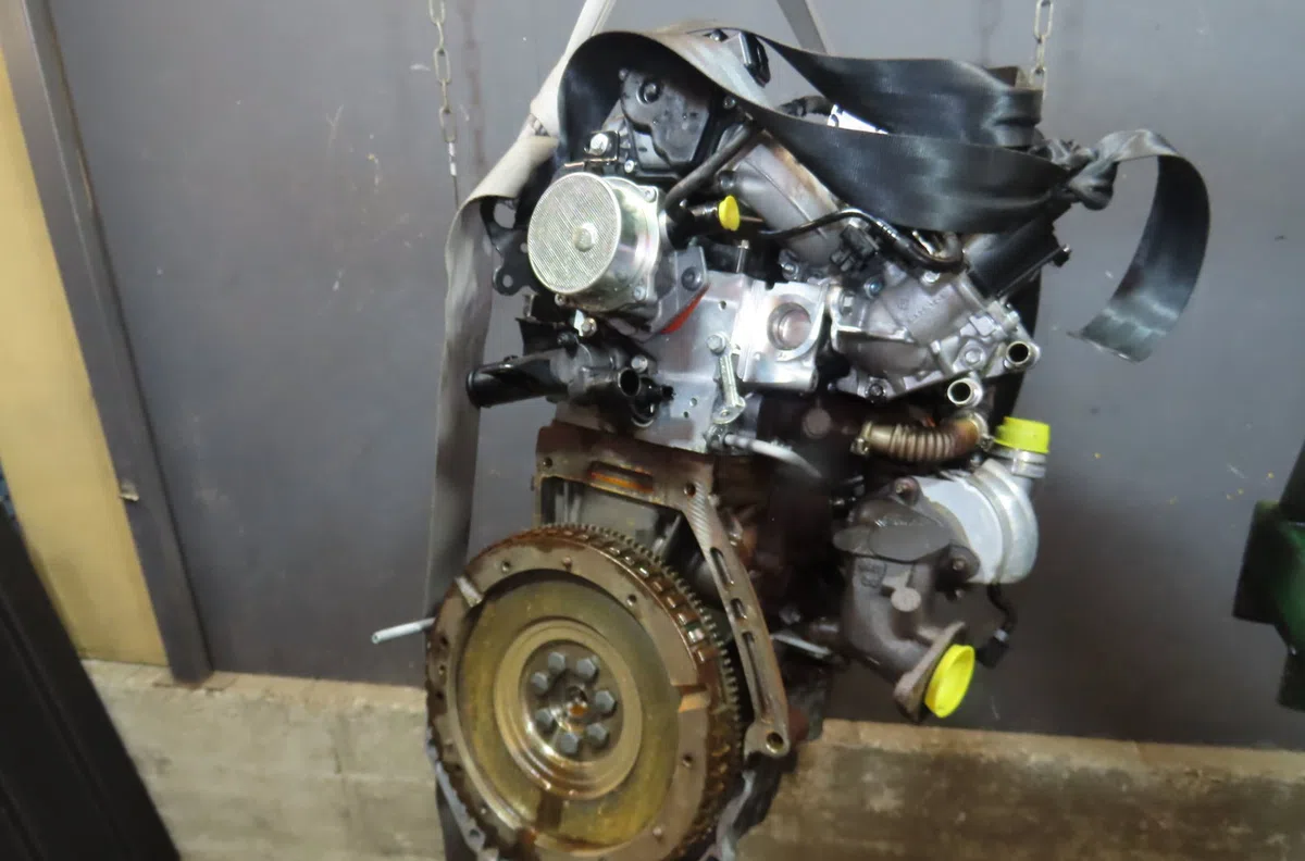 Moteur diesel RENAULT CLIO occasion