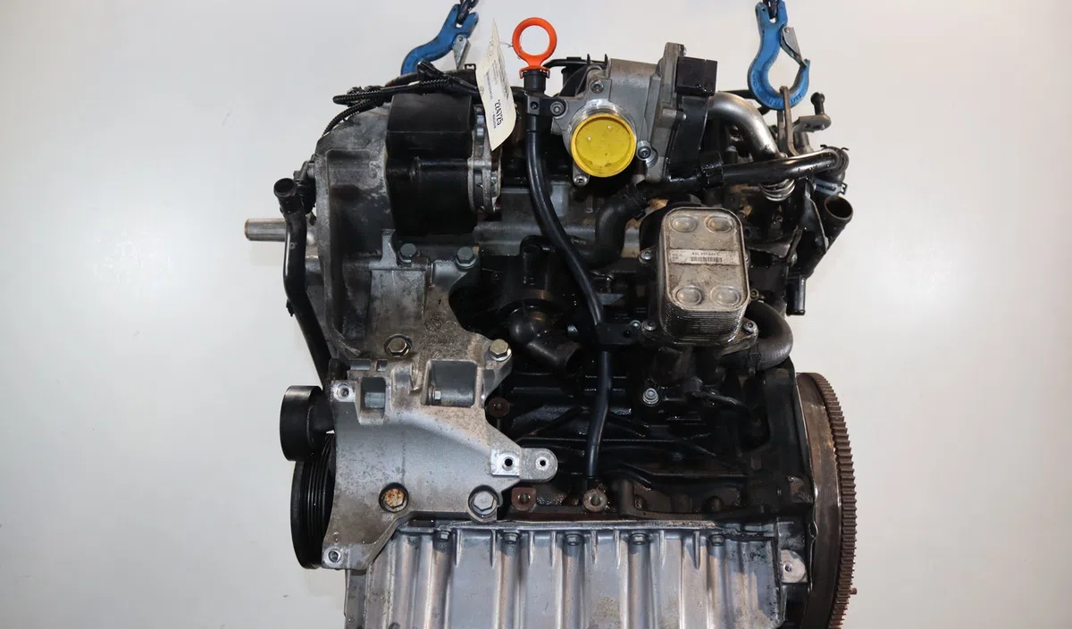 Moteur diesel Volkswagen GOLF VI (5K1) 1.6 tdi (2009-2012) 5 portes occasion